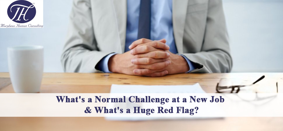 What's a Normal Challenge at new job and What's a Huge Red Flag?