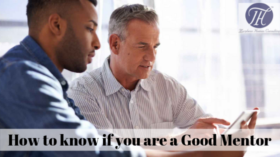 How to know if you are a Good Mentor