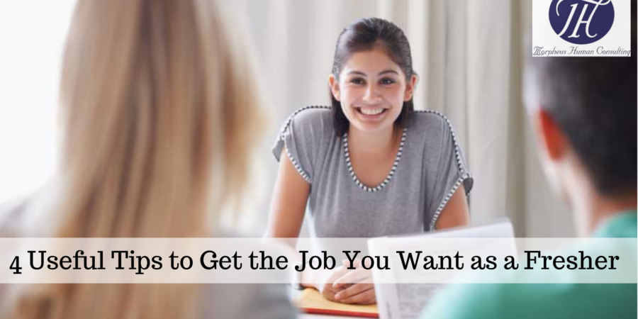 4 Useful Tips to Get the Job You Want as a Fresher