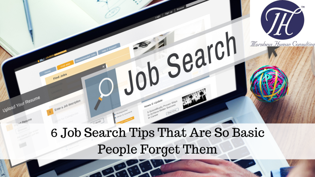 6 Basic Job Search Tips - Morpheus Human Consulting