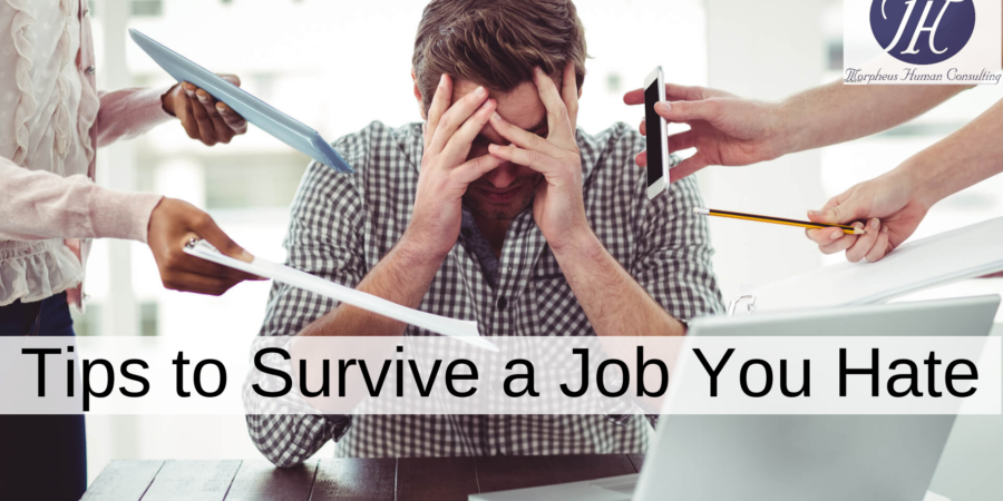 Tips To Survive A Job You Hate Morpheus Human Consulting