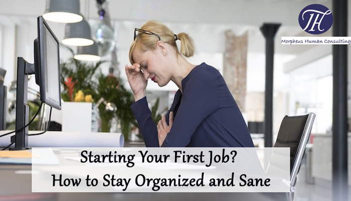 Starting Your First Job? How to Stay Organized and Sane